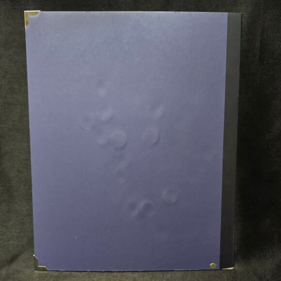 First State Quarters Collectors Map Guide & COA x2 - Picture 4 of 10